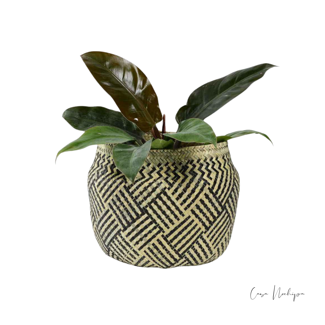 Olla de palma ahumada hecha a mano con asa de mecate o piel, artesanía sostenible de Oaxaca.