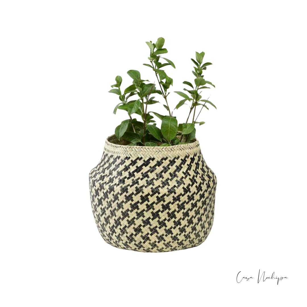 Olla de palma ahumada hecha a mano con asa de mecate o piel, artesanía sostenible de Oaxaca.