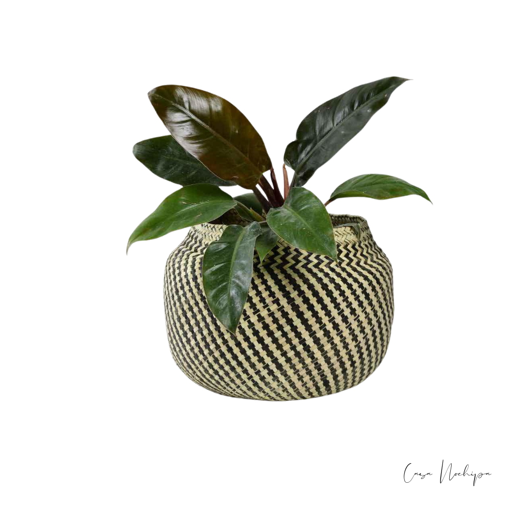 Olla de palma ahumada hecha a mano con asa de mecate o piel, artesanía sostenible de Oaxaca.