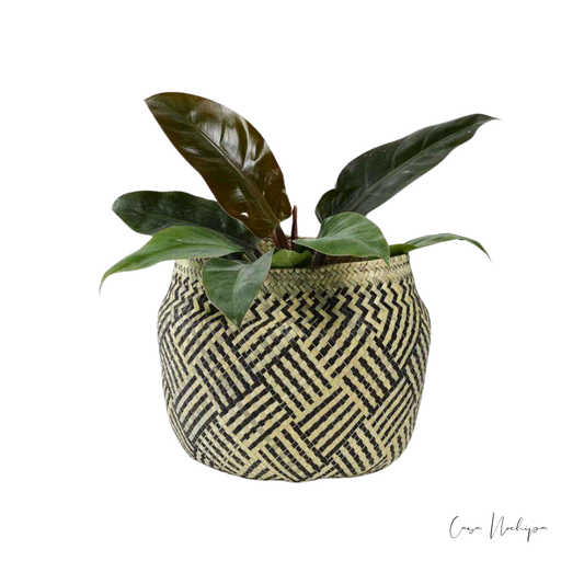 Olla de palma ahumada hecha a mano con asa de mecate o piel, artesanía sostenible de Oaxaca.